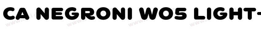 CA Negroni W05 Light字体转换